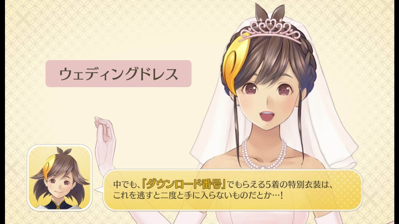 ニンテンドー3DSシリーズ『めがみめぐり』限定版紹介映像 - YouTube