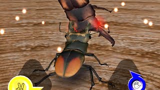 アーケード] 甲虫王者ムシキング アダー登場編3 - セアカフタマタ