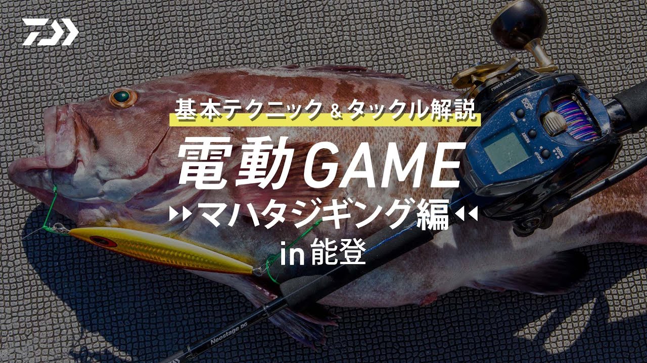 ダイワ ネオステージ Neostage DG J60B-4 (ベイト 2ピース)(60B-4): 竿
