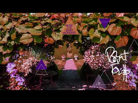 Robert Fripp - Music For Quiet Moments 23 - Elegy Pt2 (Rome 20 Jun