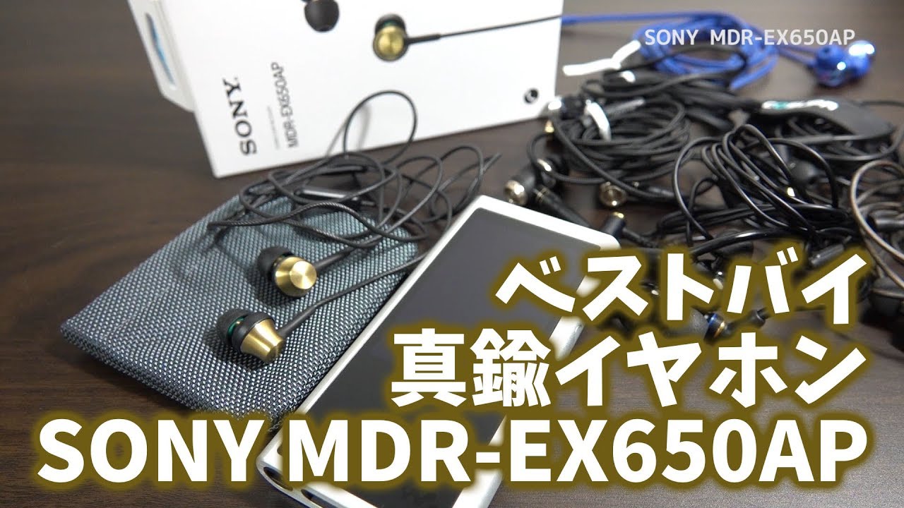 Best buy! I bought some earphones with a microphone and they were
