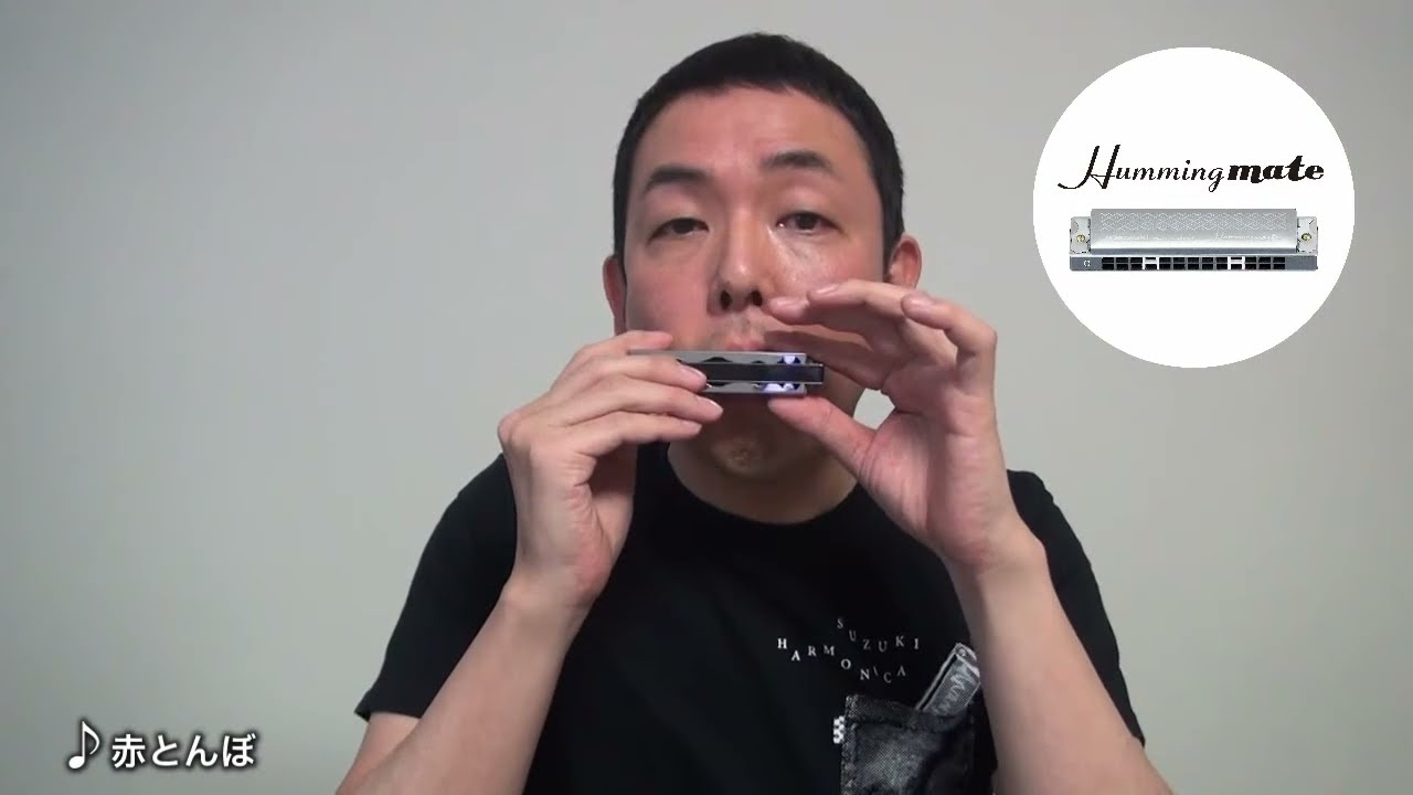 13穴複音ハーモニカ ハミングメイト SU-13M | 鈴木楽器製作所