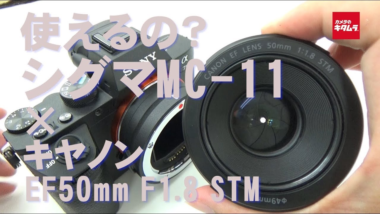 hq720.jpg?sqp=-