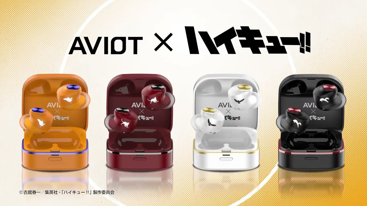 TE-Q3-HK 製品情報｜AVIOT