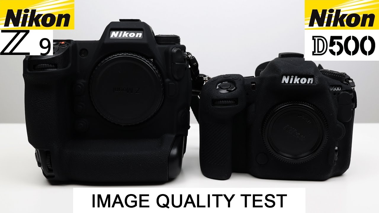 Nikon Z9 (DX) VS Nikon D500 - DSLR vs Mirrorless - Image Quality