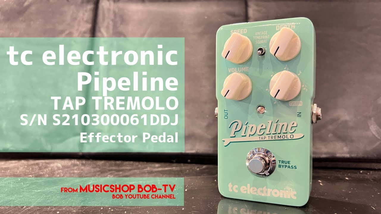 tc electronic Pipeline TAP TREMOLO【商品紹介】エフェクター《在庫有