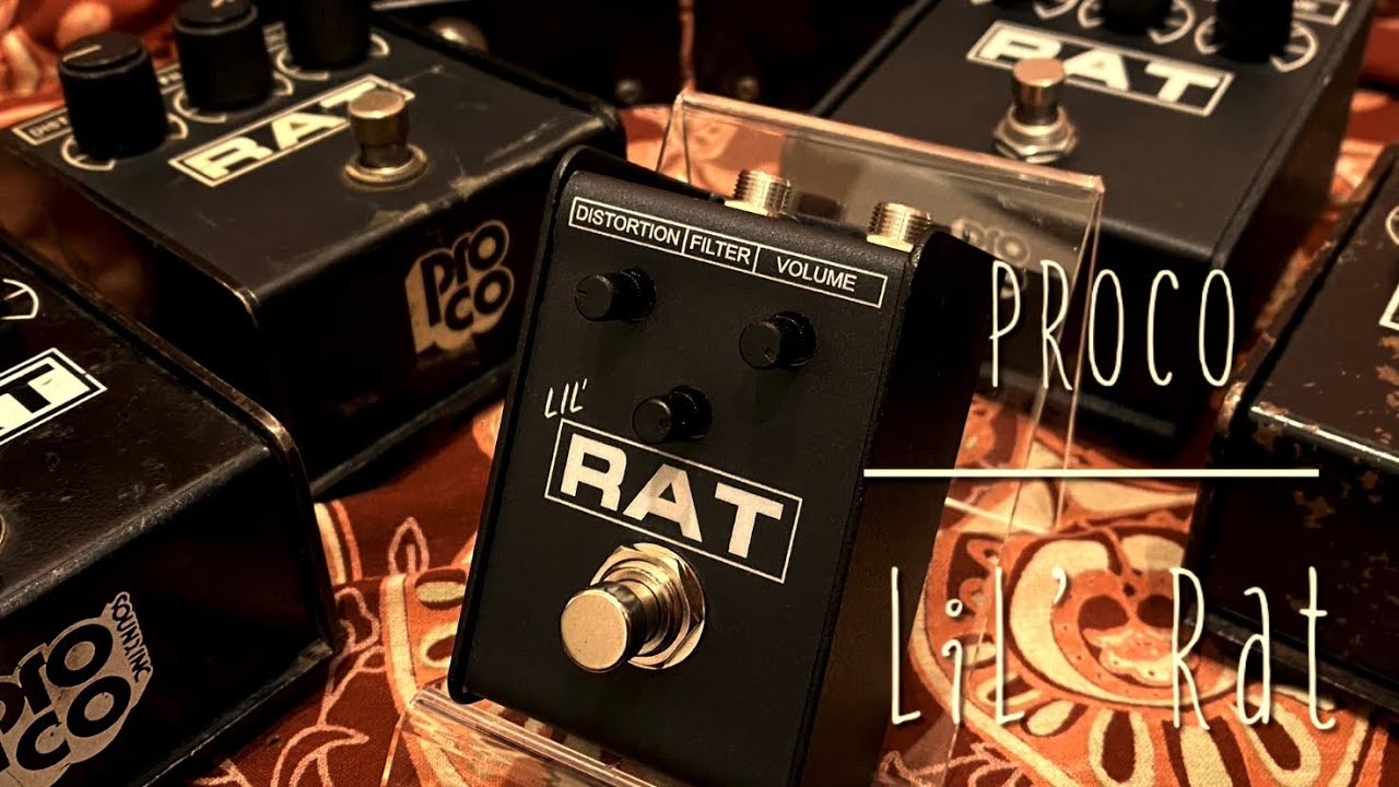 Lil' RAT | ProCo - StompBase（ストンプベース）
