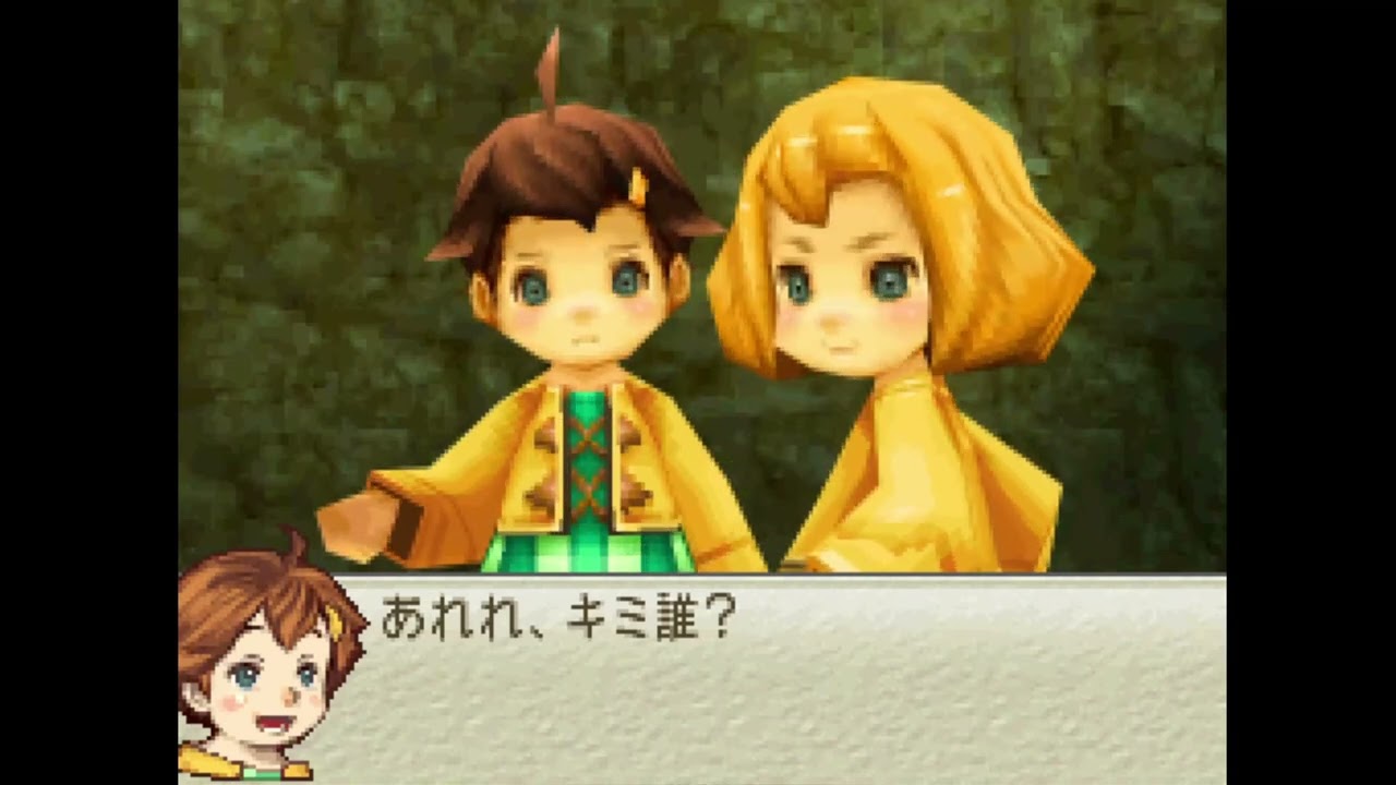 スクウェア・エニックス NINTENDO DS FFCC リング・オブ・フェイ