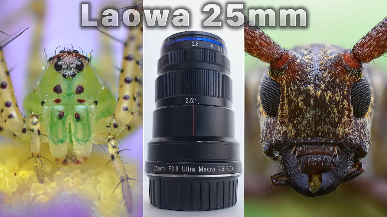 Laowa 25mm f/2.8 2.5-5X Ultra Macro Lens Review - YouTube
