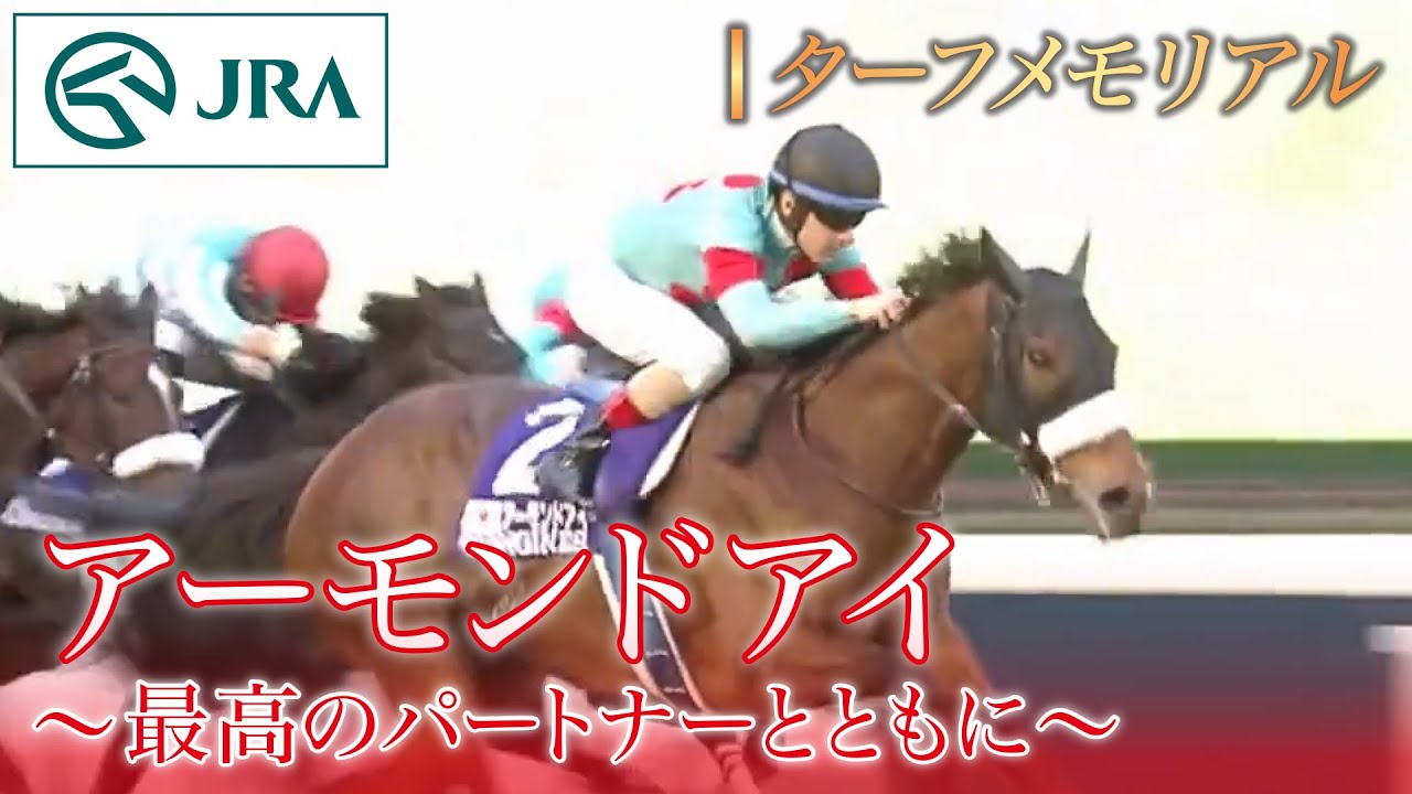 Turf Memorial] Almond Eye ~With the Best Partner~ | JRA Official