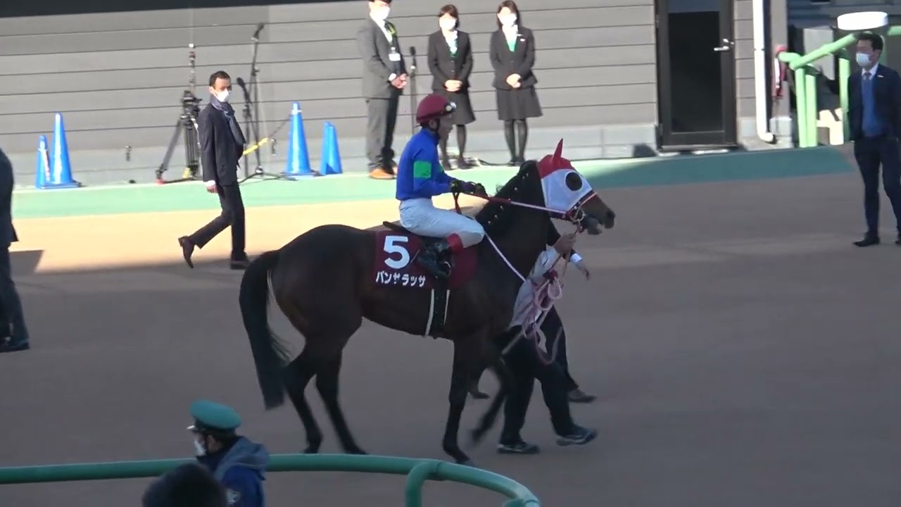 2022 第96回 中山記念 GⅡ 本馬場入場 現地映像 パンサラッサ - YouTube