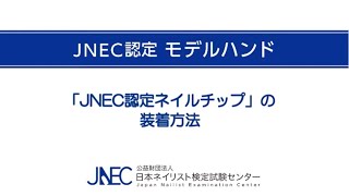 STモデルハンド セット | Nail Labo Online Shop ネイルラボ
