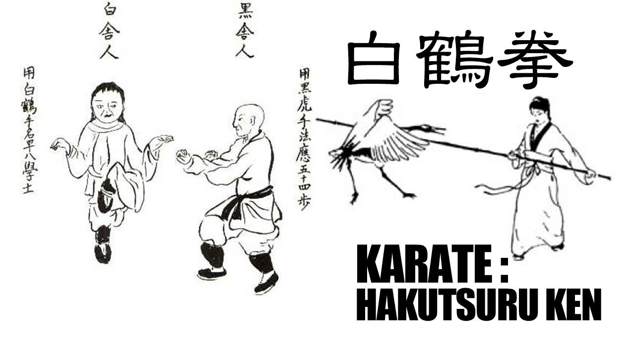 糸東流において高段者だけが学べた幻の拳法！『秘伝！白鶴拳 』One of
