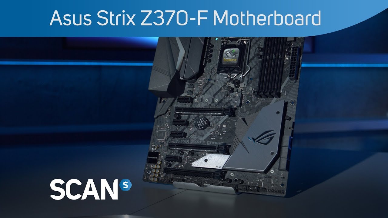 hq720.jpg?sqp=-
