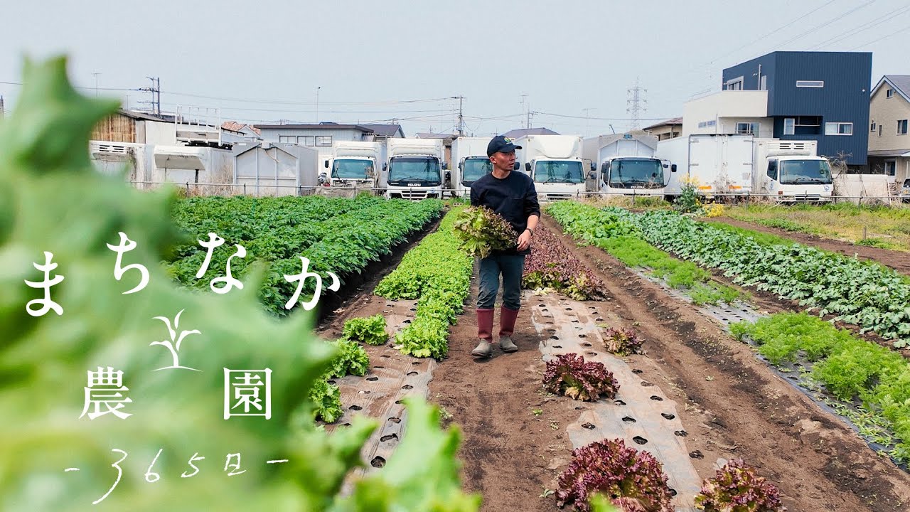 出張版#6 都市の小さな農業｜古木農園 - YouTube