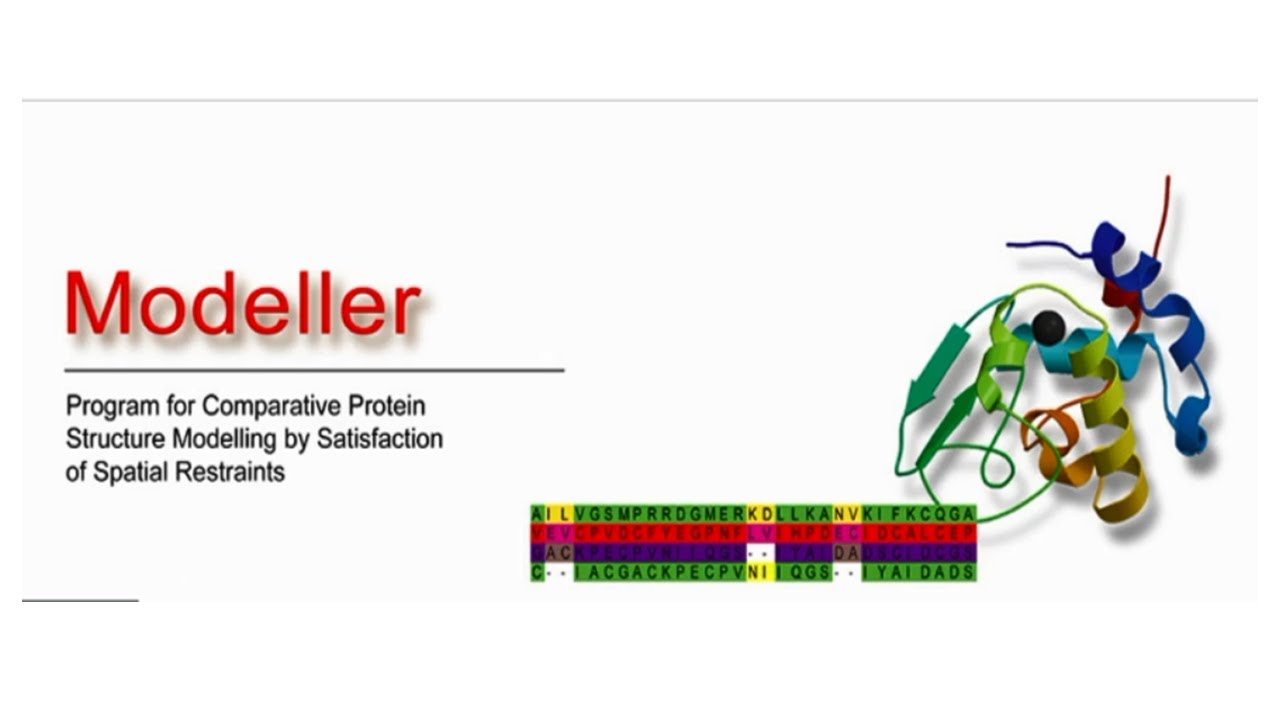 Homology modeling using Modeller - Tutorial for beginners (Part 1