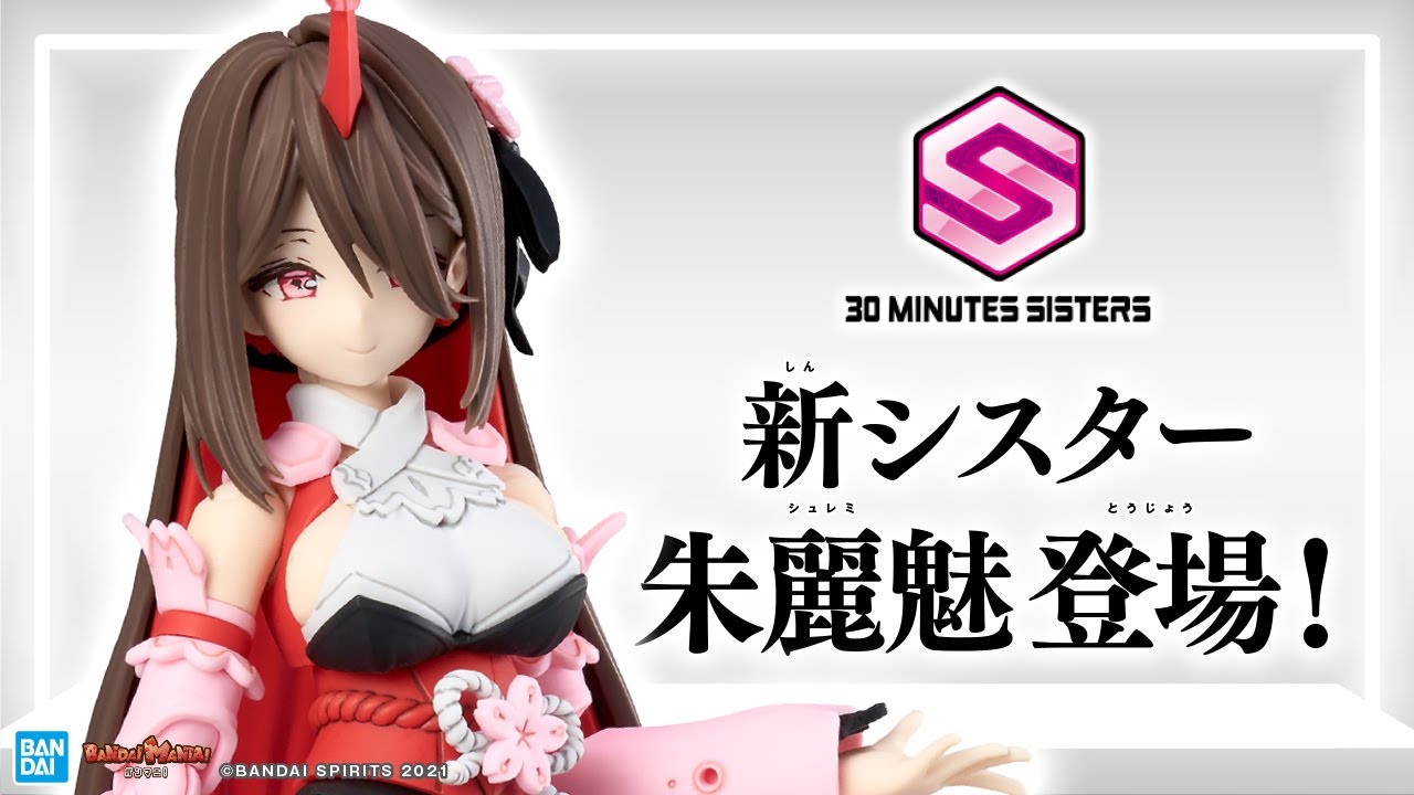 Introducing Shulemi, the new sister of 