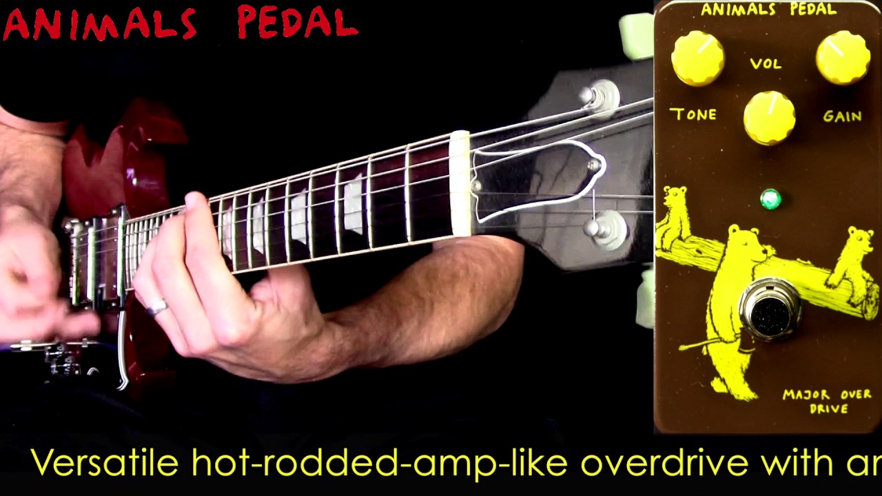 Animals Pedal Major Overdrive – Animals Pedal USA