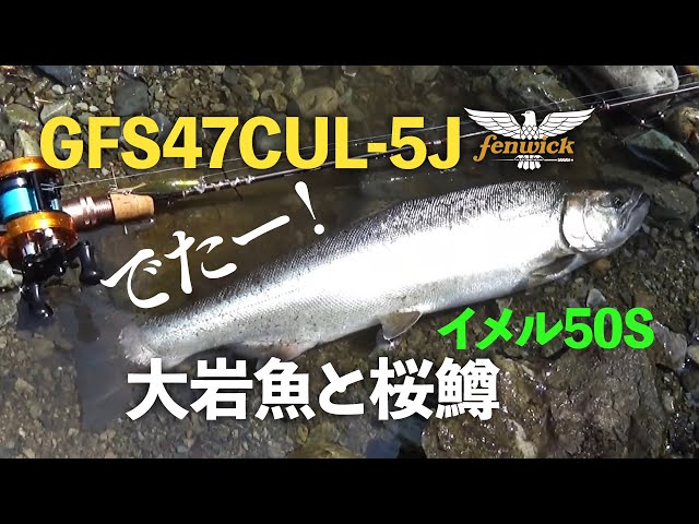 Fishing for 
