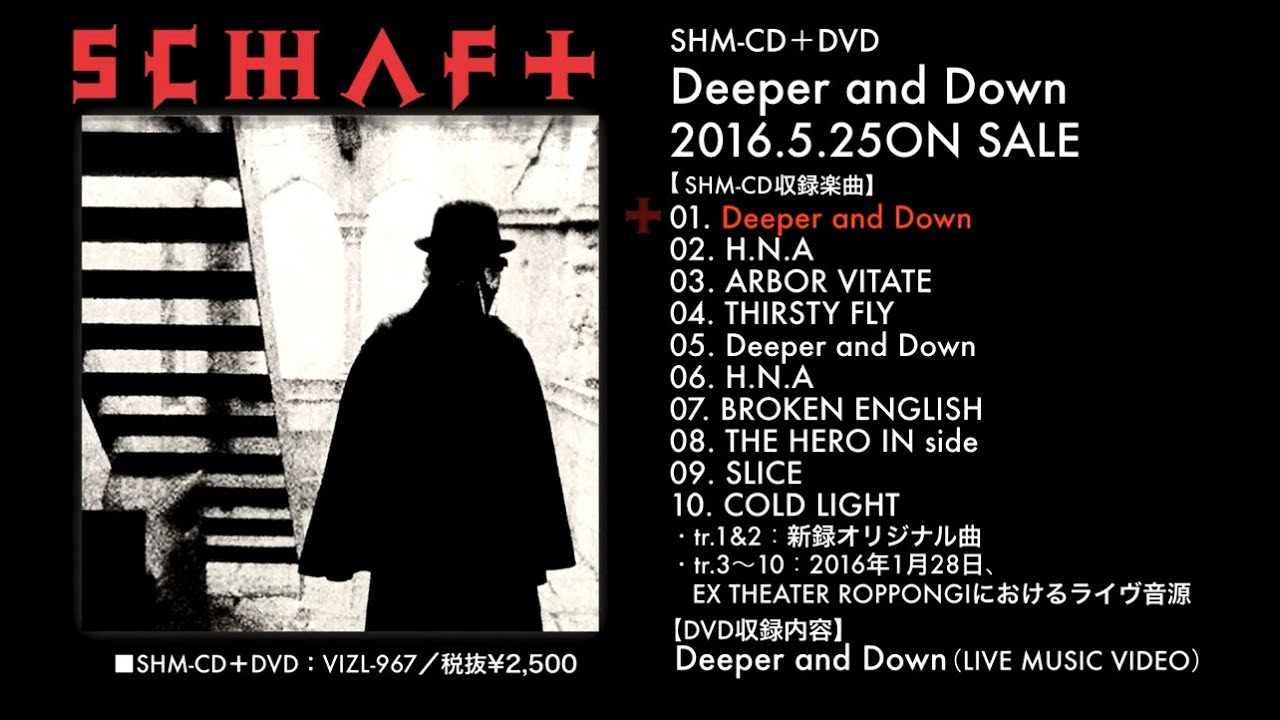 SCHAFT | ARCHIVES | ビクターエンタテインメント
