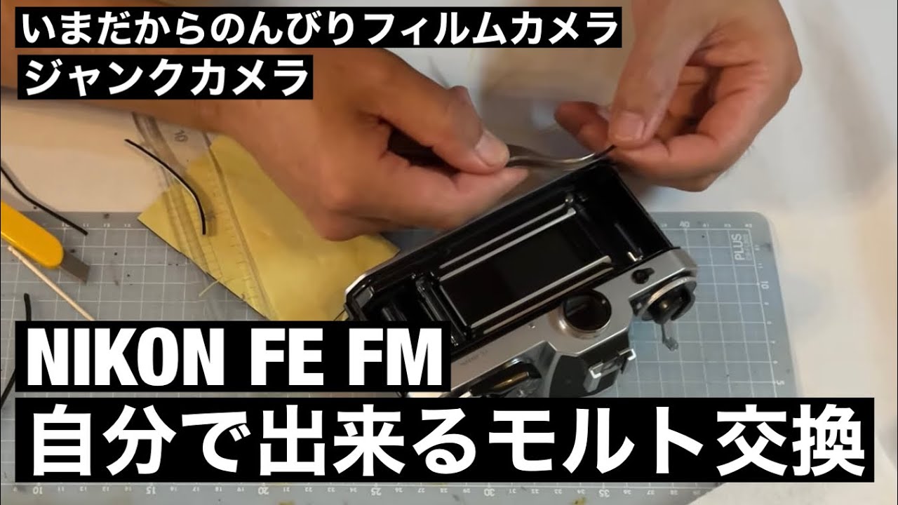 hq720.jpg?sqp=-