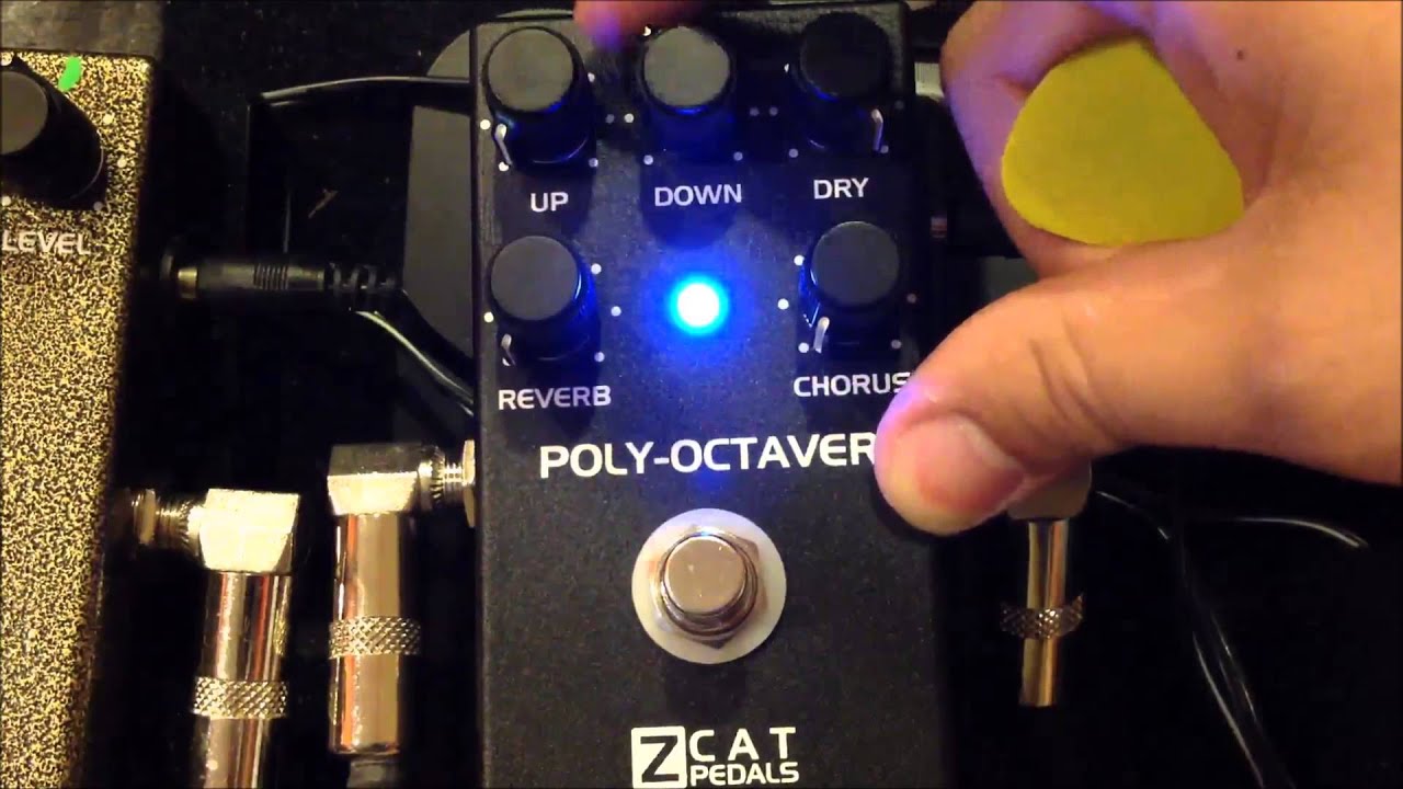Poly-Octaver 2 | Umbrella Company | アンブレラカンパニー