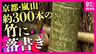 Serious] Graffiti on bamboo: Hangul, 