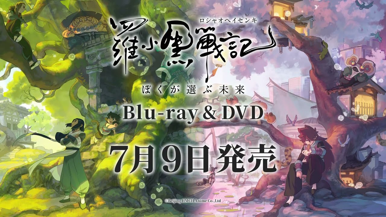 DVD】映画 羅小黒戦記 ぼくが選ぶ未来 通常版 | アニメイト