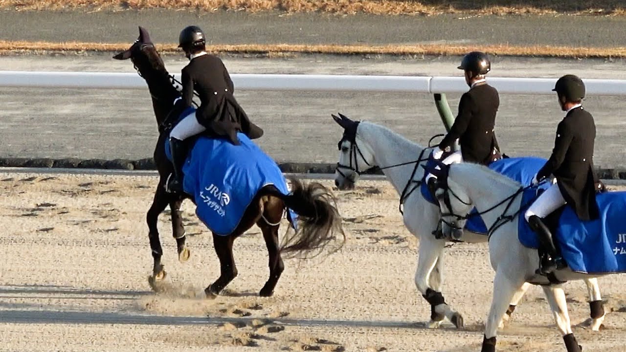 チャンピオンズカップ2025】本馬場入場でナルカミがそわそわ 誘導馬の