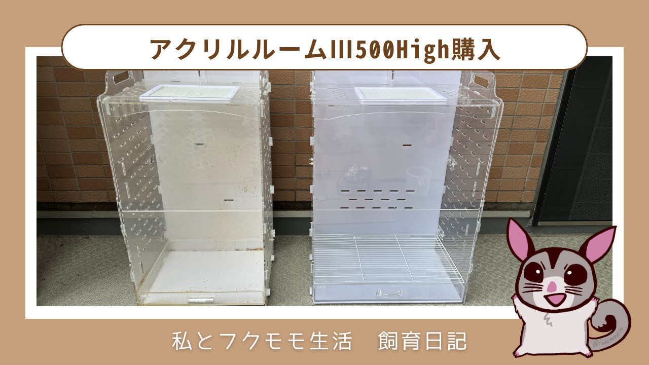 Breeding Diary] I bought the GEX Acrylic Room III 500 High