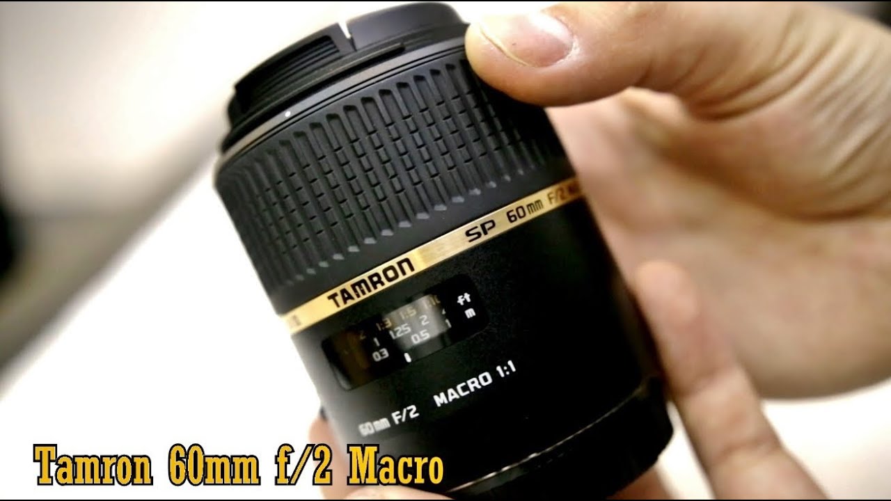Tamron 60mm f/2 macro lens review (with samples) - YouTube