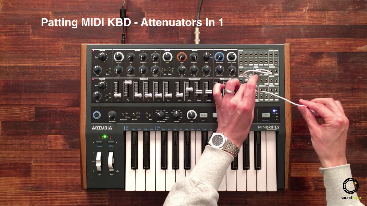 アナログ人気を牽引したシンセの進化系「MiniBrute 2」。選りすぐられ