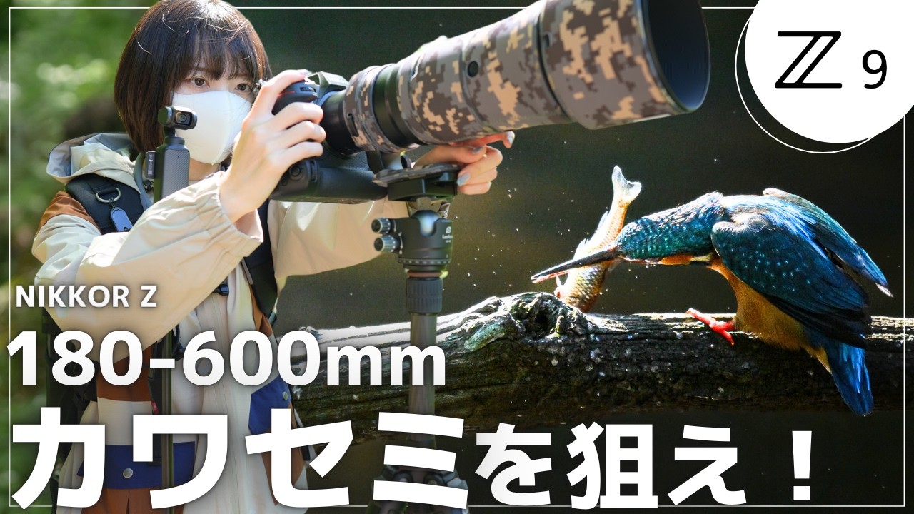 Super telephoto] 200 example photos of a kingfisher hiding in the