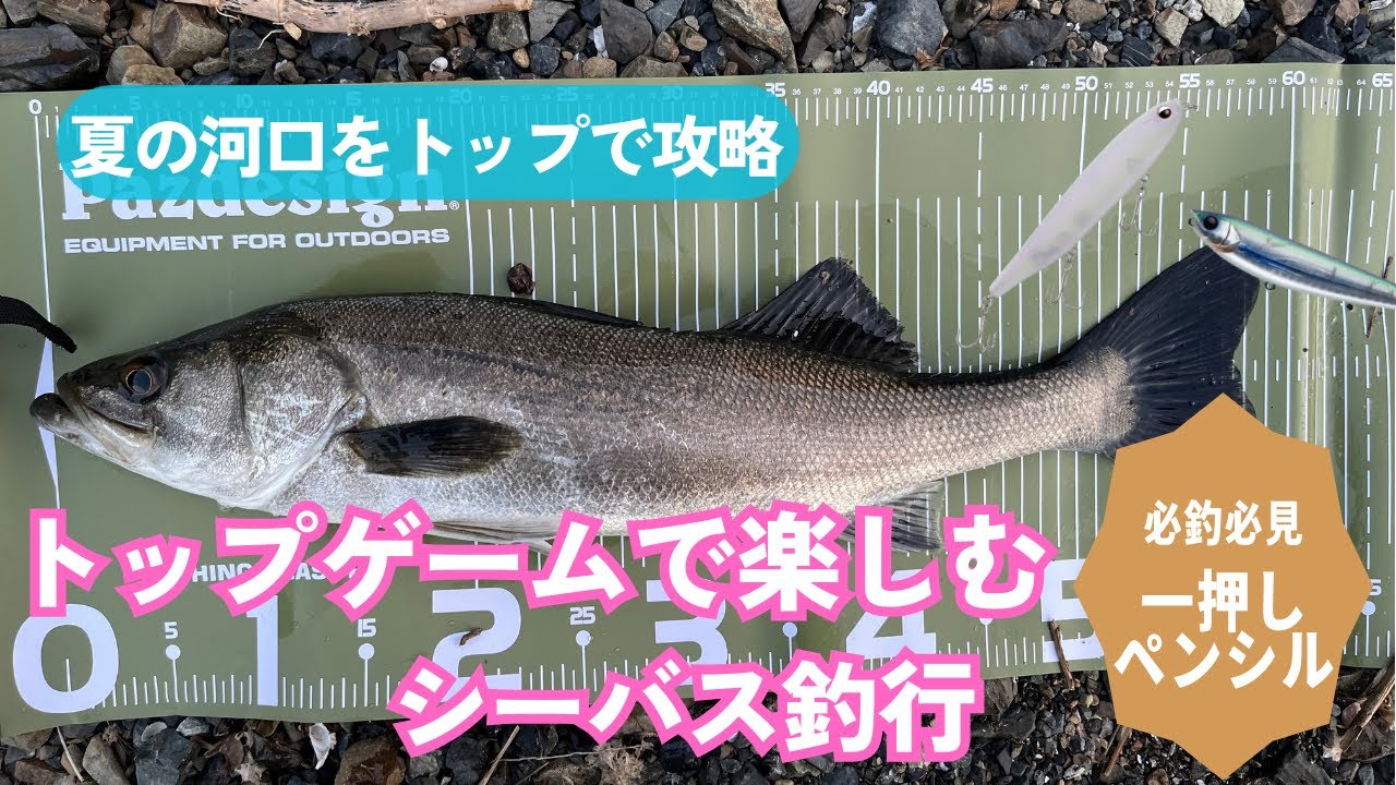 夏シーバス】はトップが3倍楽しい！Foojin'Z NIGHT HAWK 93MLエバー