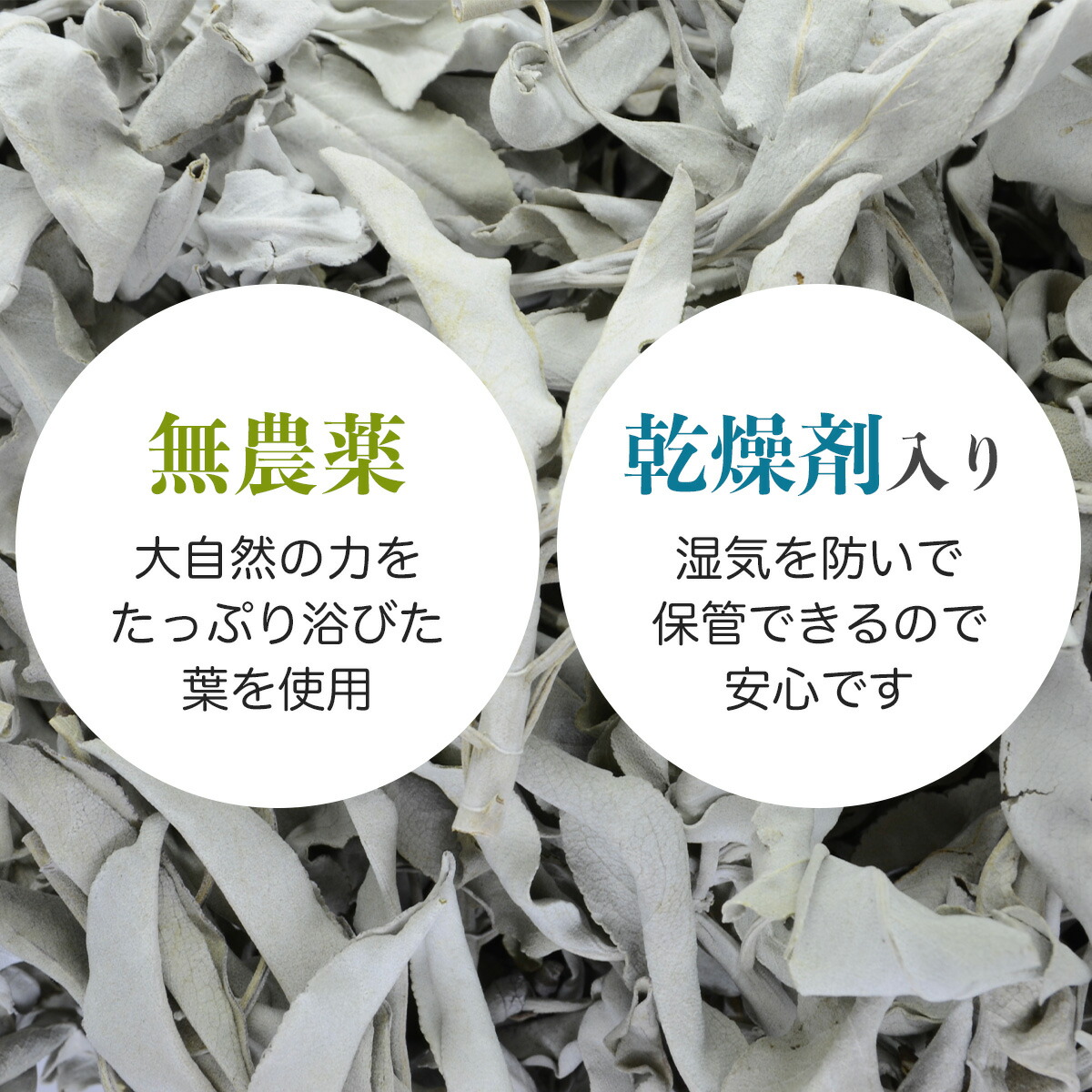 楽天市場】ホワイトセージ 浄化用 枝無し リーフ 約50g THE EARTH