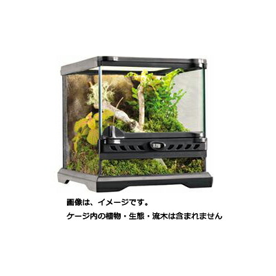 楽天市場】【全国送料無料】GEX エキゾテラ グラステラリウム 4530