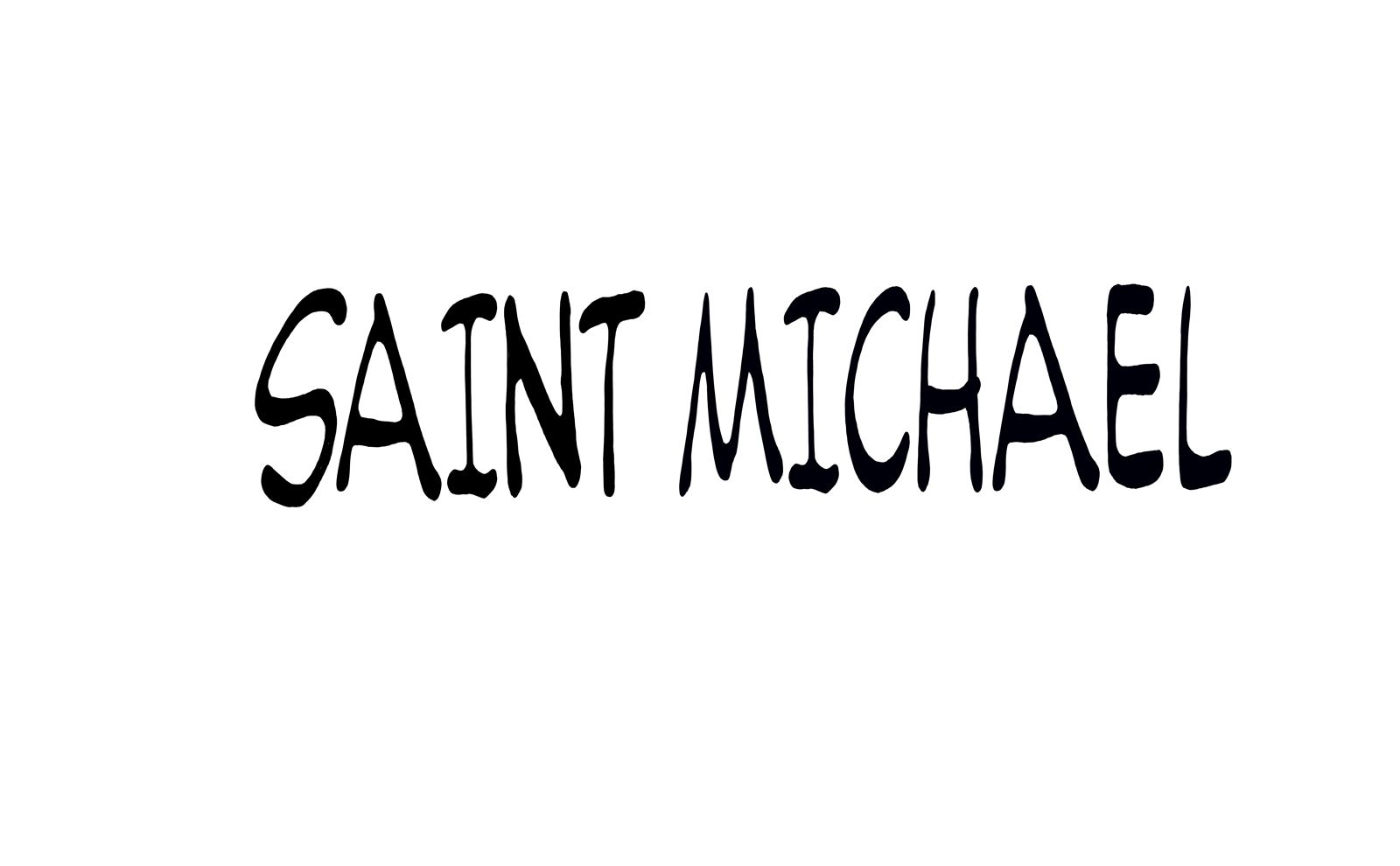 SAINT MICHAEL / セントマイケル / 20aw / 2nd Drop | Confidence