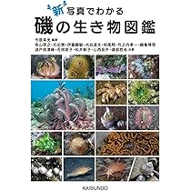 Amazon.co.jp: ヨコエビ ガイドブック : 有山啓之: Japanese Books