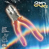 Amazon.co.jp: 正しい偽りからの起床(通常盤): ミュージック