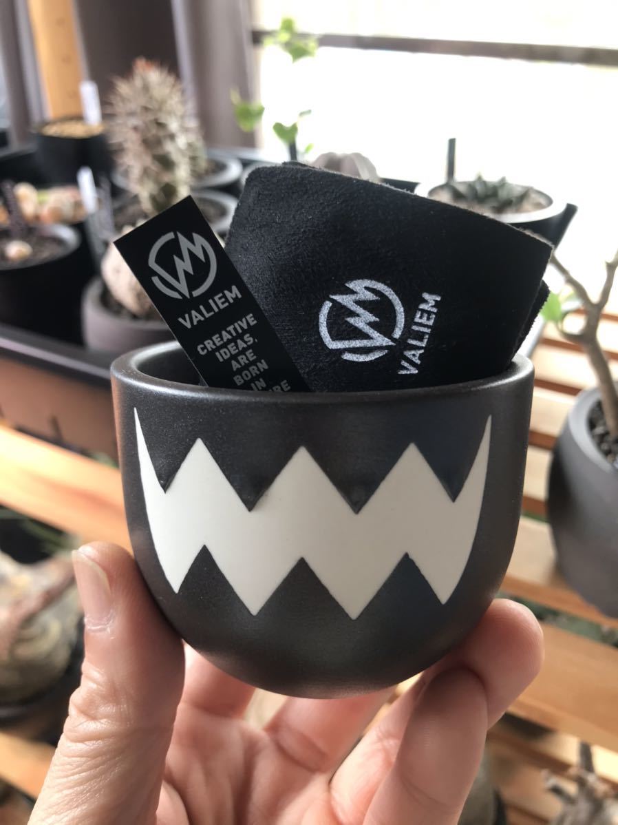 valiemの1.5周年記念モデル MサイズVALIEM MONSTER MOUTH L バリエム