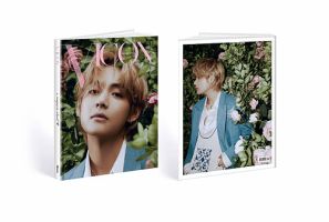 DICON ISSUE N°16 V : VICON 「a magazine about V」B-type｜定期購読