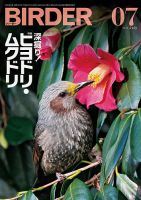 野鳥の世界｜定期購読 - 雑誌のFujisan