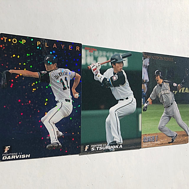 北海道日本ハムファイターズ - 日ハム2009年【カルビープロ野球
