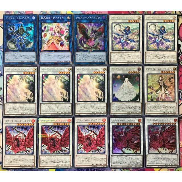遊戯王 - 本格構築 【アロマローズドラゴン】デッキ メイン＆EX15枚
