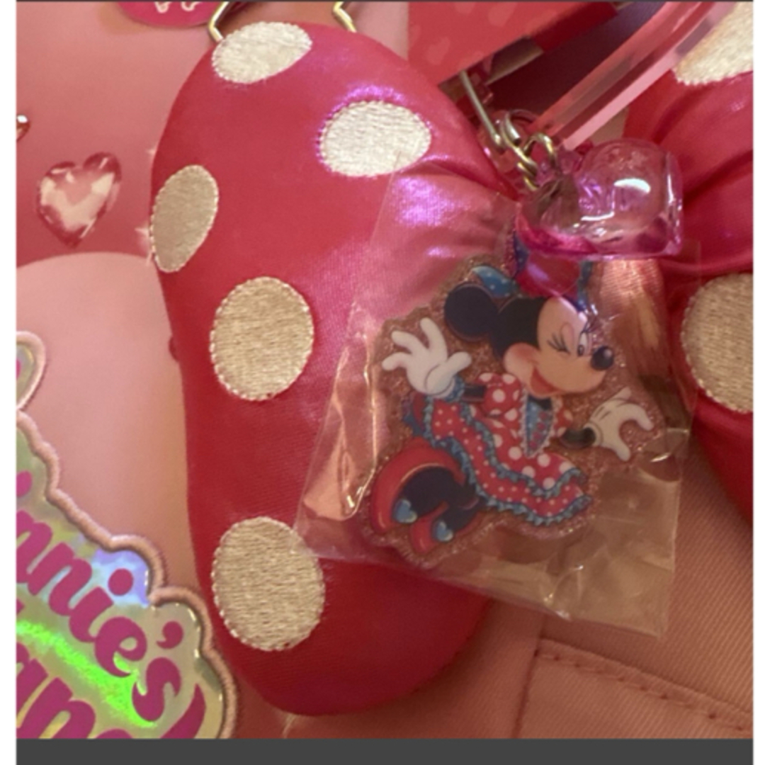 ミニーマウス - ディズニーパルパルーザ🎀ミニファンダーランド