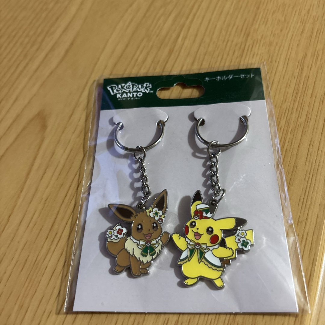 ポケモン - ポケパークカントー ピカチュウイーブイカーニバル衣装