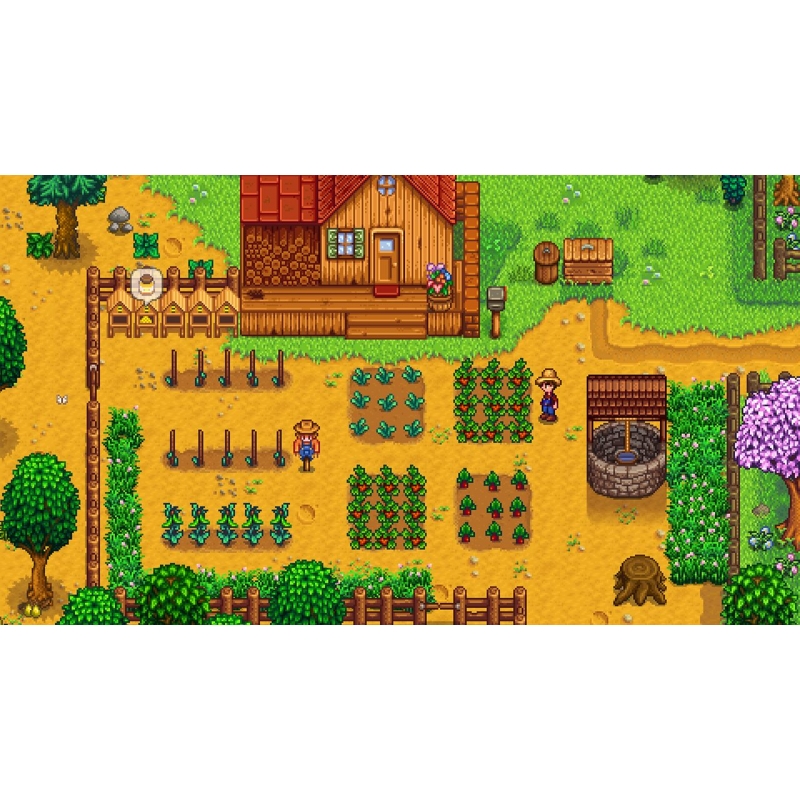 Nintendo Switch】スターデューバレー コレクターズ・エディション