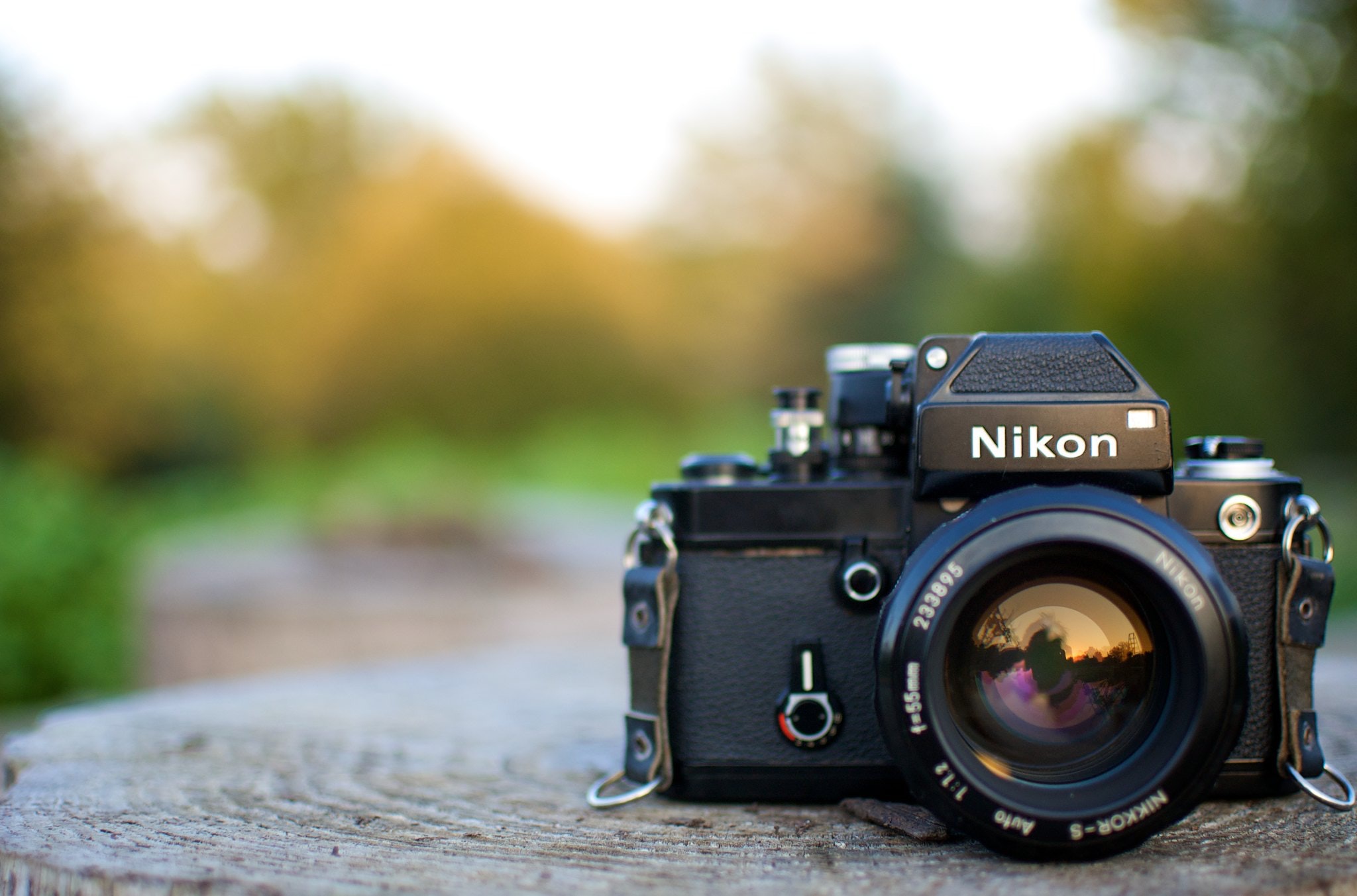 Nikon F2を徹底解説。作例からおすすめレンズまで | ONE SCENE（ワン