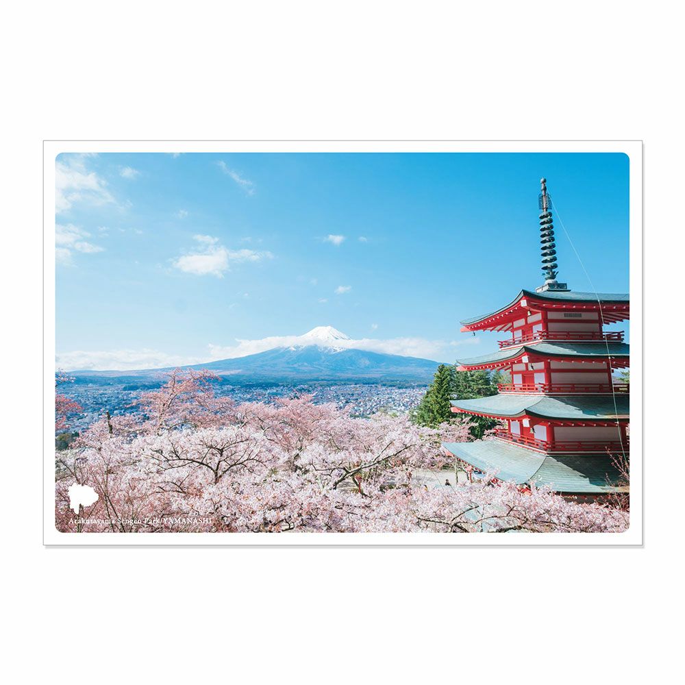 日本の絶景ポストカード ～春～ 春の新倉山浅間公園/山梨 | いろは