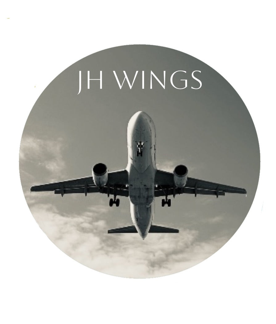 Japan Airlines 737-800 JA317J Phoenix Models 1:400 – JH Wings